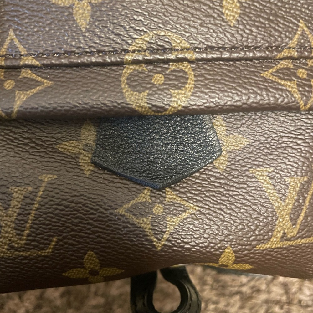 Louis Vuitton Palm Springs mini